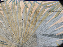 A-1 Kwik Dry Carpet Cleaning & Air Duct Cleaning - Photo 6 - Car repair in Louisville, KY, Louisville