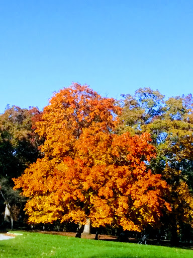 Nature Preserve «Cook County Forest Preserve», reviews and photos, 1700 N Quentin Rd, Palatine, IL 60074, USA