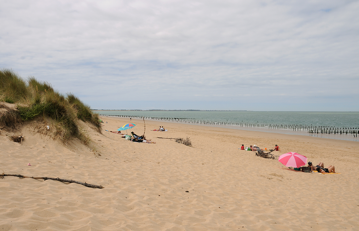 Plage Des Saumonards photo #9