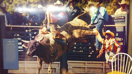 Museum «The MOOseum», reviews and photos, 201 S Bainbridge St, Montgomery, AL 36104, USA