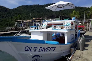 Gil divers image