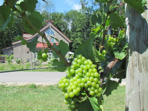 Insurance Agency «Rebeca Steele State Farm», reviews and photos