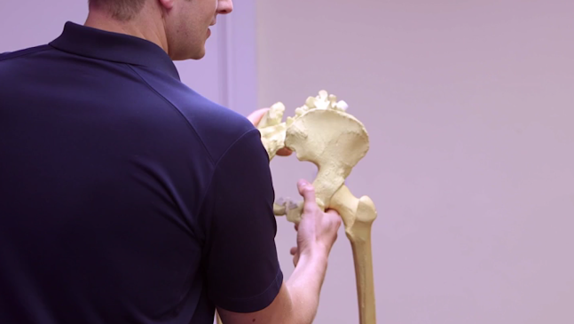 Reviews of Pro Sport Physiotherapy London in London - Physical therapist