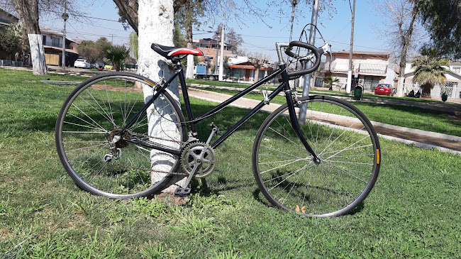 Taller de Bicicletas "PatoCletas"