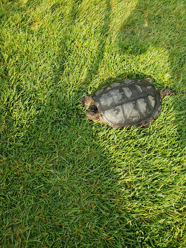 Golf Course «Bello Woods Golf Course», reviews and photos, 23650 23 Mile Rd, Macomb, MI 48042, USA