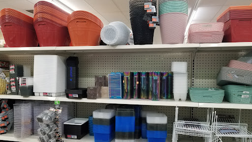 Dollar Store «Dollar Tree», reviews and photos, 1005 Stevenson Ave, Enumclaw, WA 98022, USA