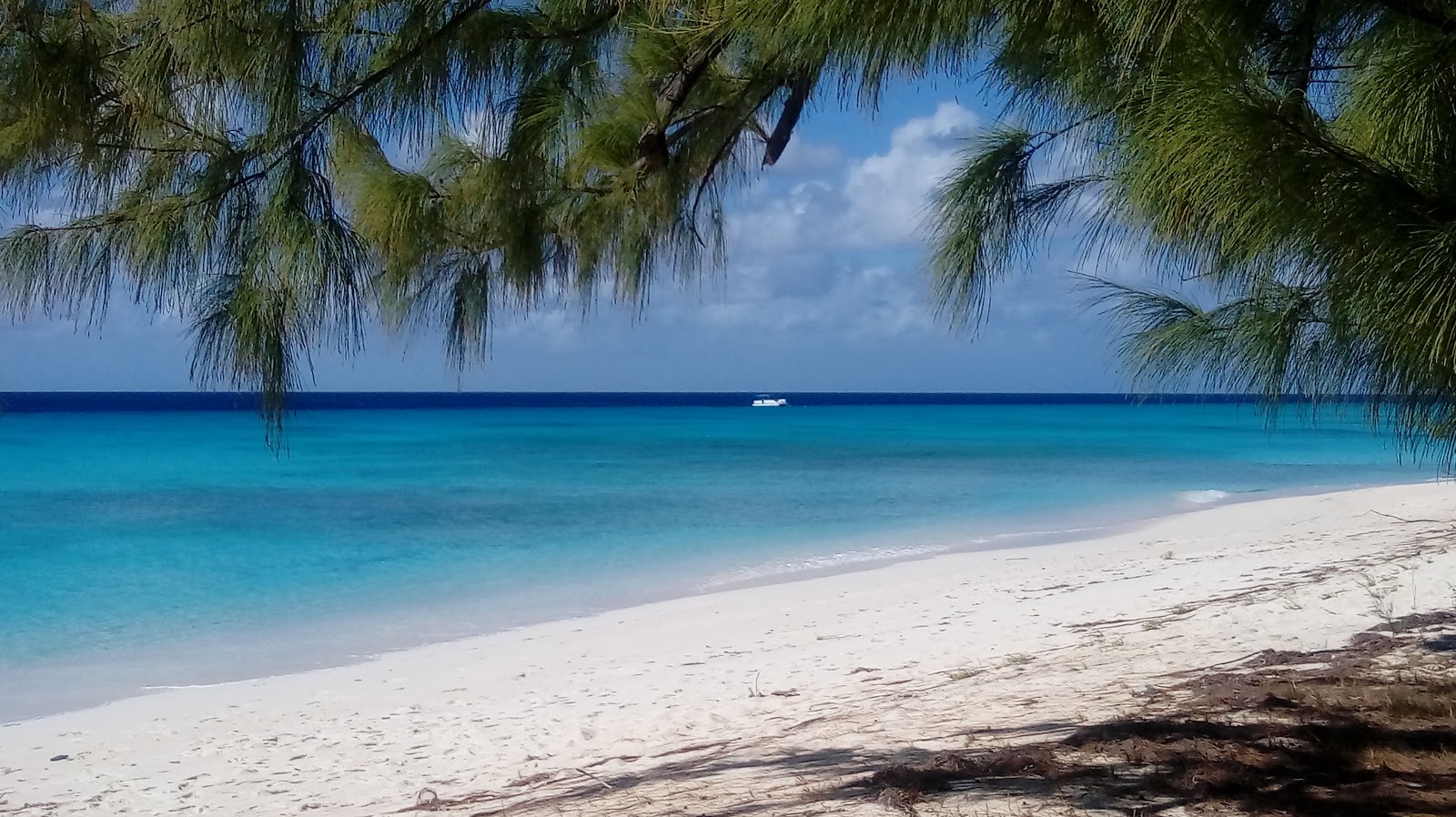 Photo of Norman Saunders beach with turquoise pure water surface