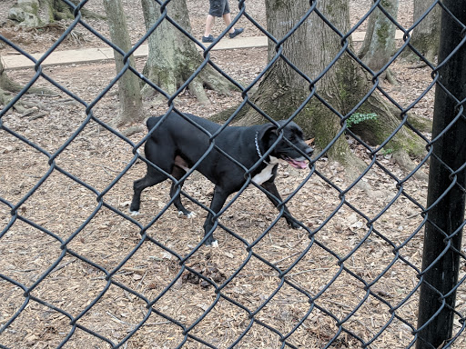 Park «Clark Community Park», reviews and photos, 111 Davis Rd, Stockbridge, GA 30281, USA