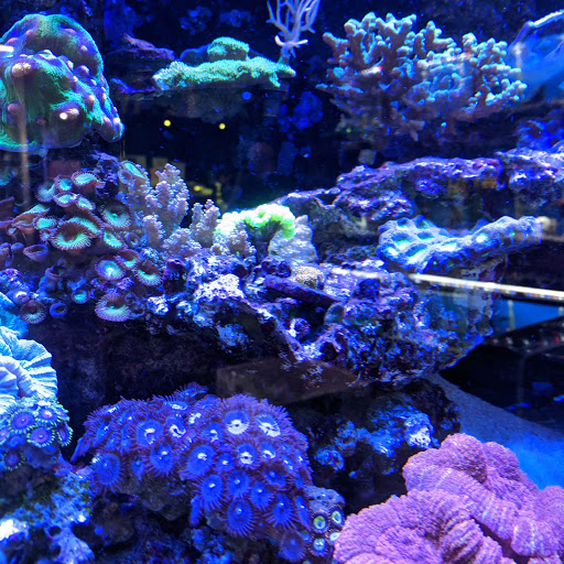 Pet Store «Fin-N-Feather», reviews and photos, 2931 F St, Eureka, CA 95501, USA