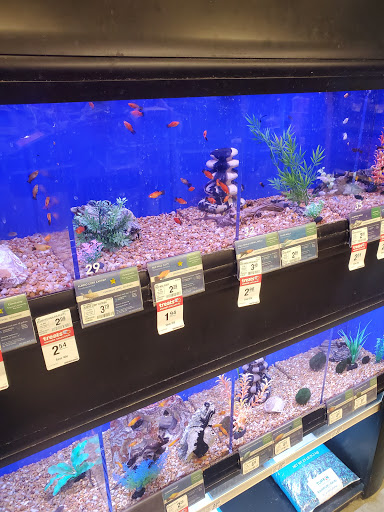 Pet Supply Store «PetSmart», reviews and photos, 601 Centerview Blvd, Kissimmee, FL 34741, USA