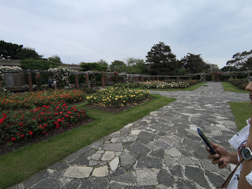 The Rose Gardens