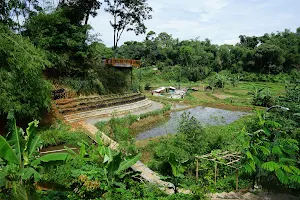 Wetland Park Cisurupan image