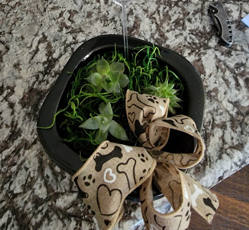 Florist «Prosper Blooms», reviews and photos, 474 N Hays Rd, Prosper, TX 75078, USA