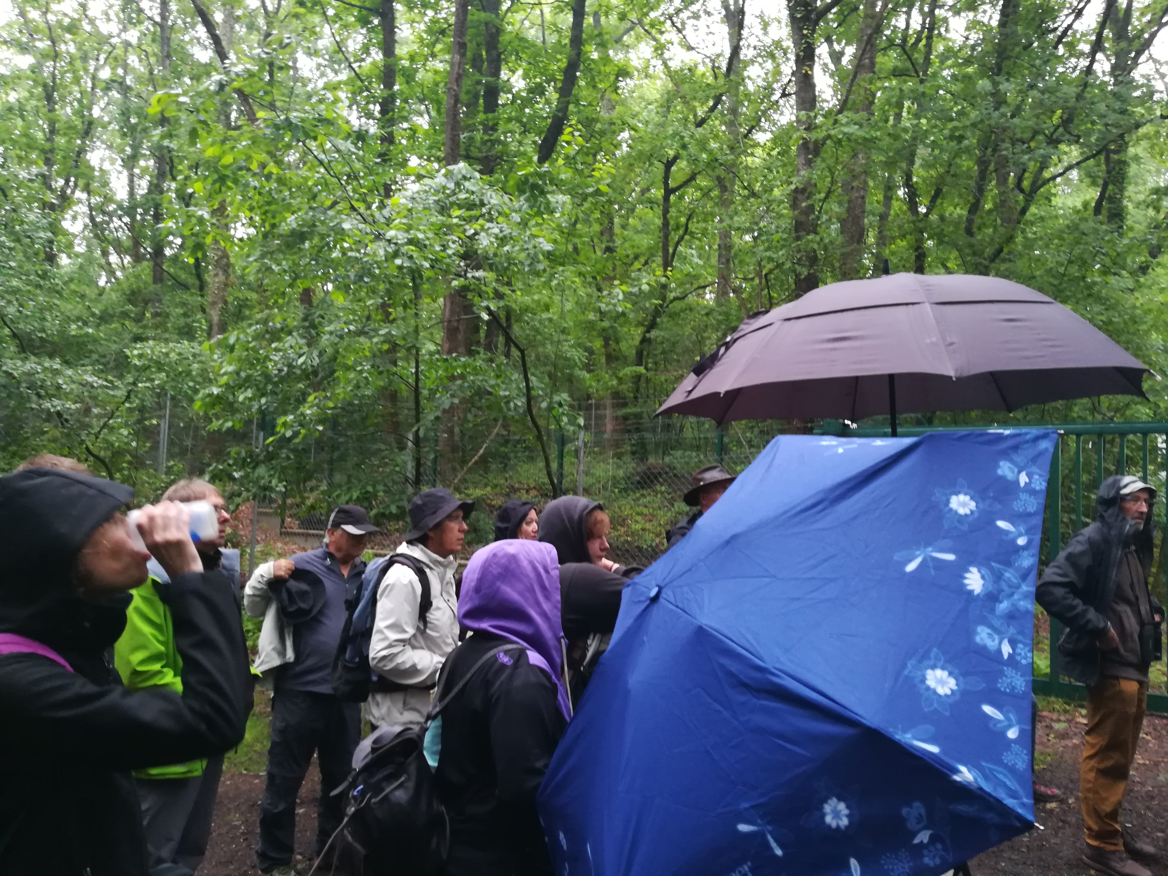Photo n° 33 de l'avis de Nathalie.e fait le 17/06/2019 à 19:40