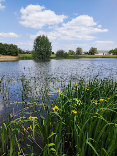 Etang D'Artenay à Artenay