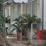 Photo n°1 de l'avis de gian.i fait le 17/09/2023 à 11:33 sur le  Blue Hotel à Cesenatico