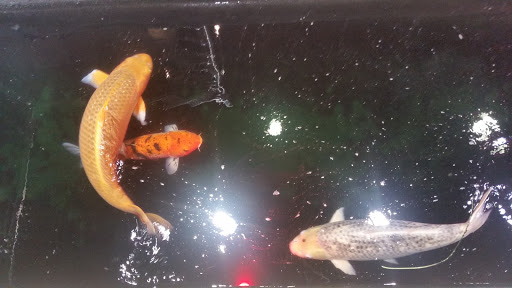 Beauty Salon «Una Donna Piu Beauty Salon And Spa», reviews and photos, 216 N Park Ave, Winter Park, FL 32789, USA