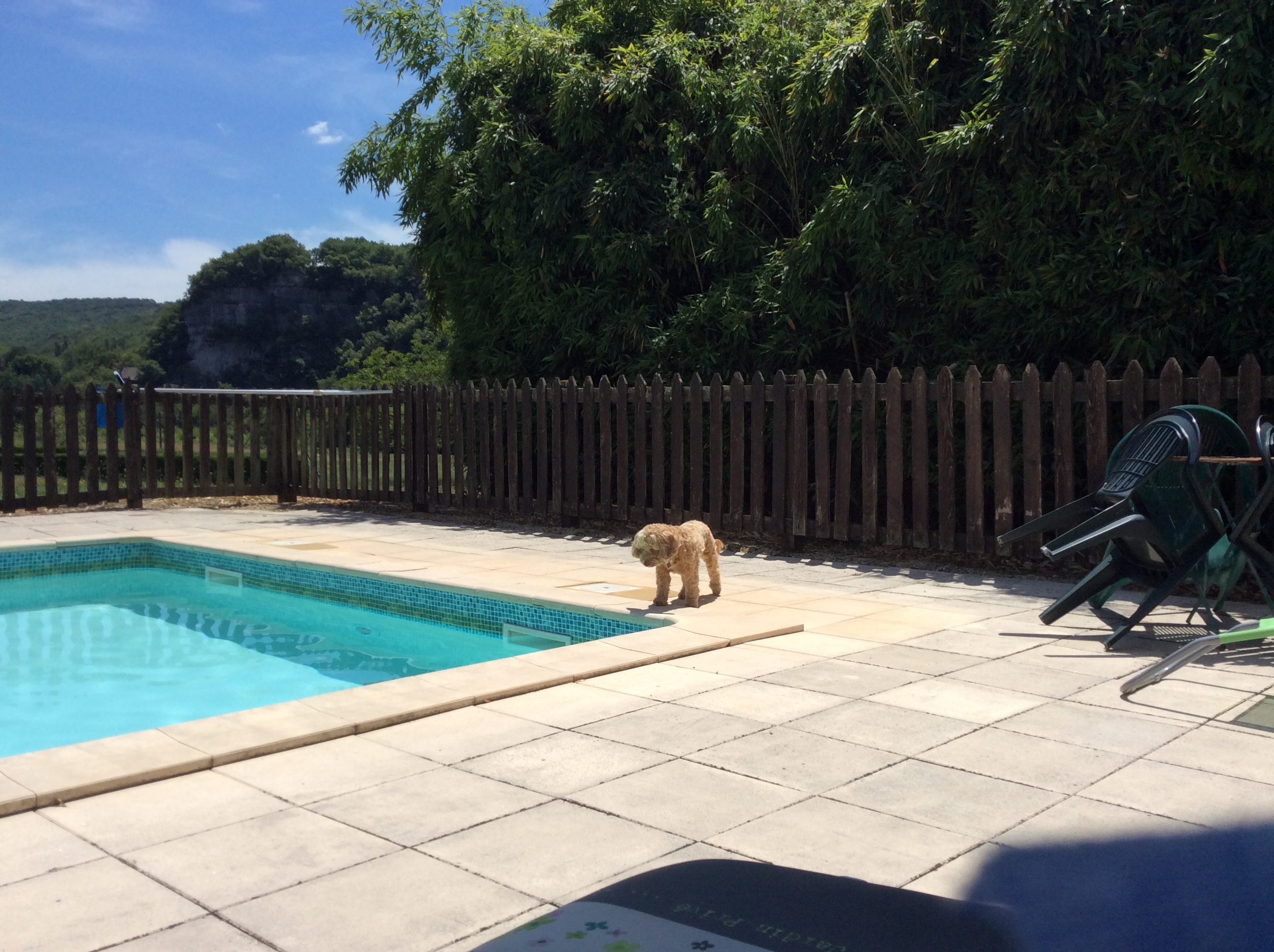 Photo n° 2 de l'avis de Elaine.l fait le 22/07/2018 à 10:30