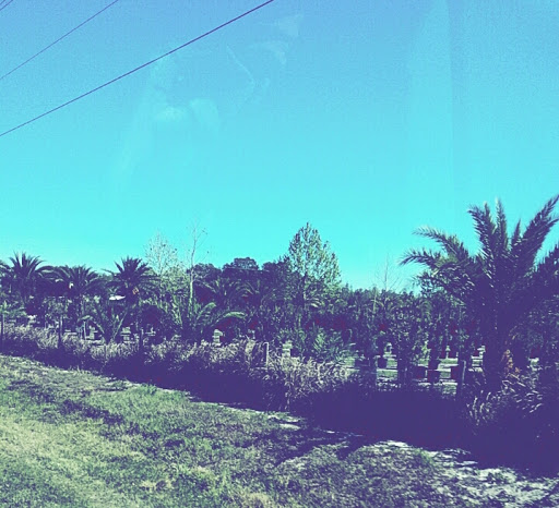 Recreation Center «Revolution Off Road», reviews and photos, 4000 FL-33, Clermont, FL 34714, USA