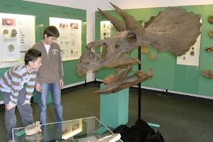 Urweltmuseum Aalen image