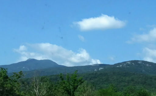 Nature Preserve «Centennial Woods Natural Area», reviews and photos, I-89, Burlington, VT 05401, USA