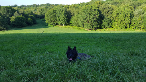 Park «Cherokee Park», reviews and photos, 745 Cochran Hill Rd, Louisville, KY 40206, USA