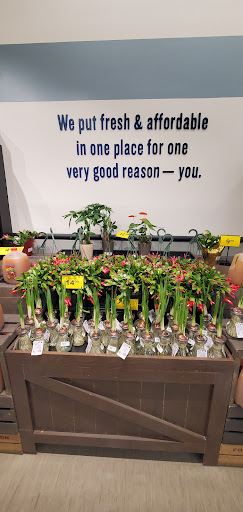 Grocery Store «Food Lion», reviews and photos, 46 Madison Plaza Dr, Madison, VA 22727, USA