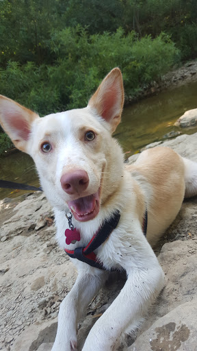 Park «Barfield Crescent Park», reviews and photos, 697 Veterans Pkwy, Murfreesboro, TN 37128, USA