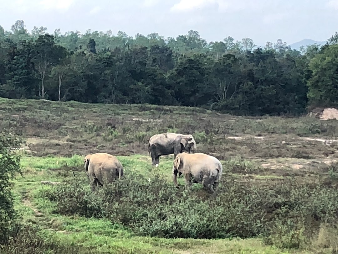 มูลนิธิเพื่อนสัตว์ป่า