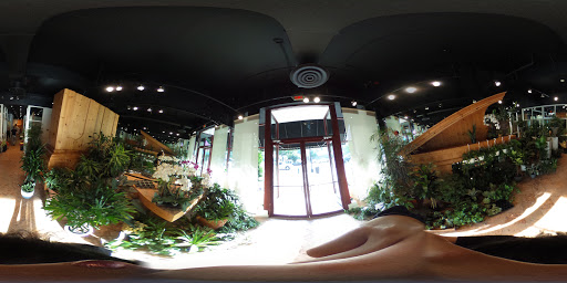 Florist «Allan Woods Flowers», reviews and photos, 2645 Connecticut Ave NW, Washington, DC 20008, USA