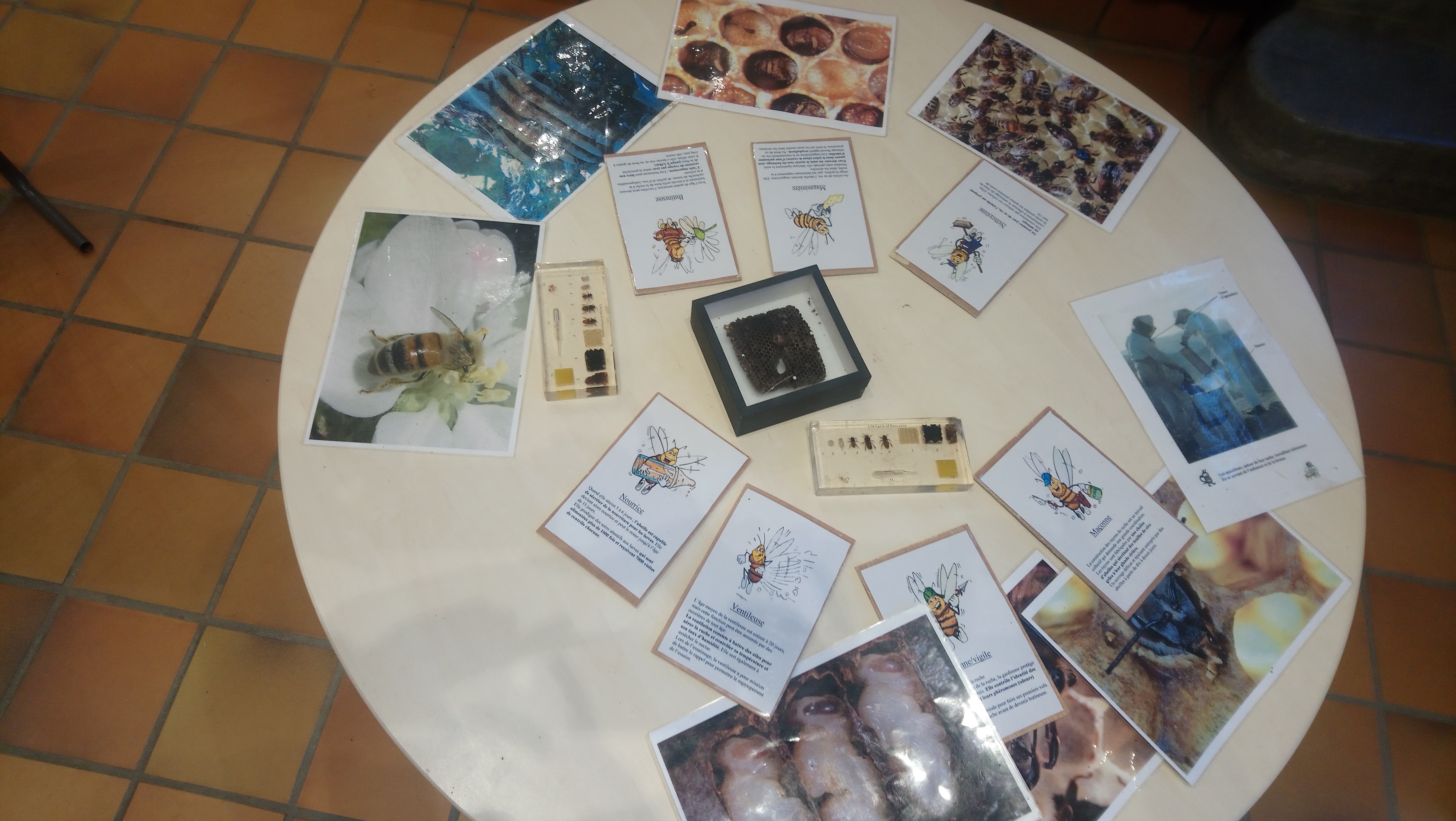 Photo n° 12 de l'avis de Ajaz.o fait le 13/08/2020 à 15:05
