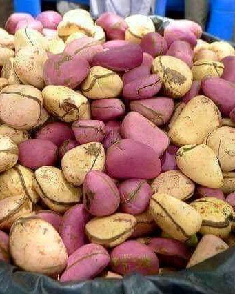 Post Office «United States Postal Service», reviews and photos, 211 Hope St, Mountain View, CA 94041, USA