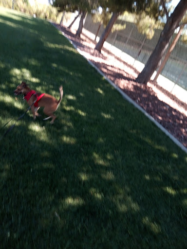 Park «Angel Park», reviews and photos, Angel Park Trail, Las Vegas, NV 89145, USA