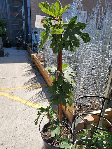 Home Improvement Store «The Home Depot», reviews and photos, 2003 N Cassia St, Nampa, ID 83651, USA