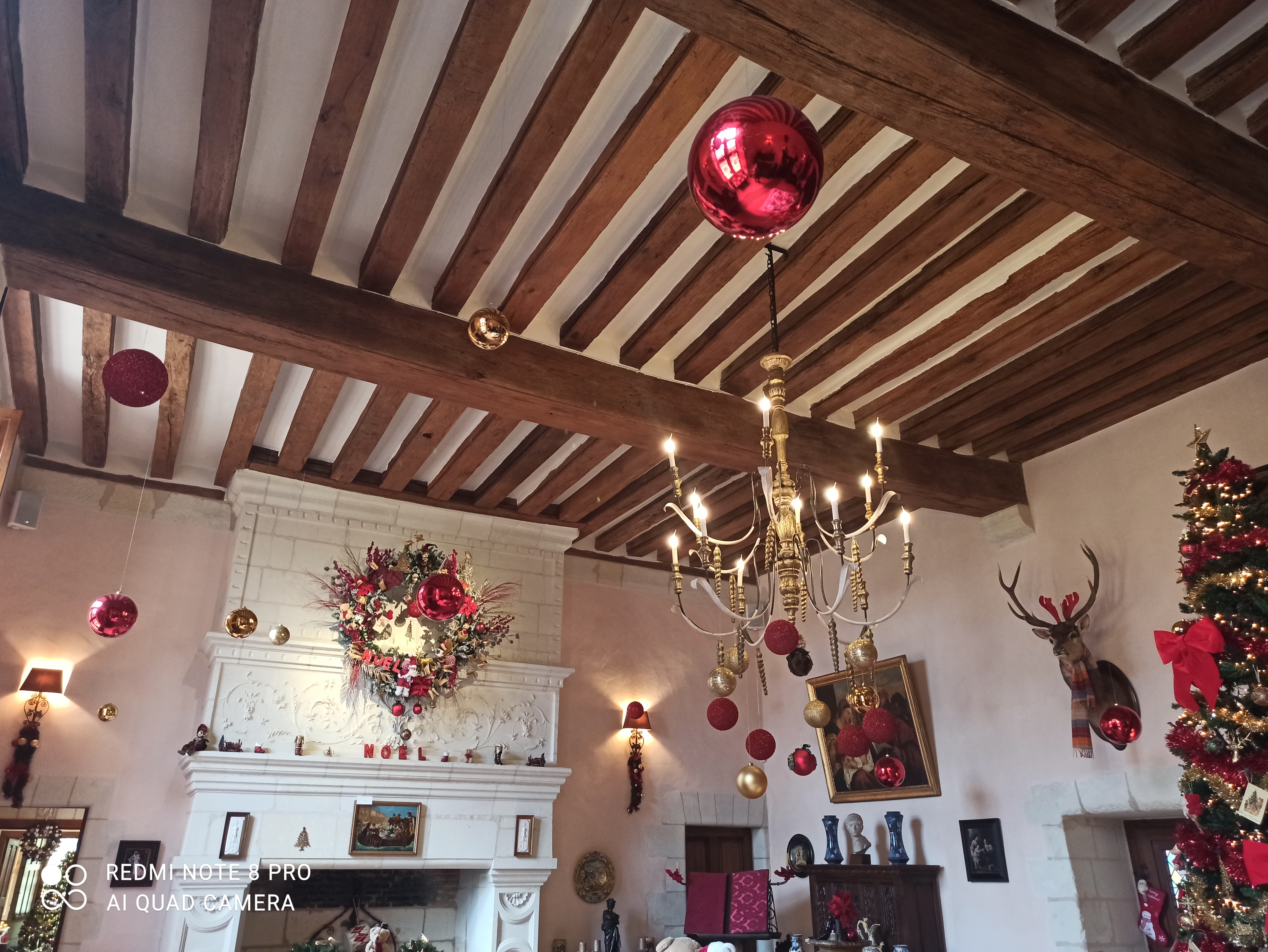 Photo n° 4 de l'avis de jo.i fait le 27/11/2022 à 12:38