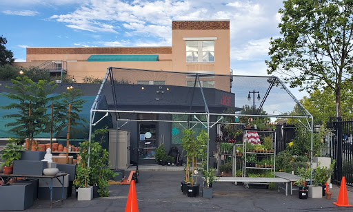 Hardware Store «Chase Ace Hardware Garden & Gift Emporium», reviews and photos, 1826 4th St, San Rafael, CA 94901, USA