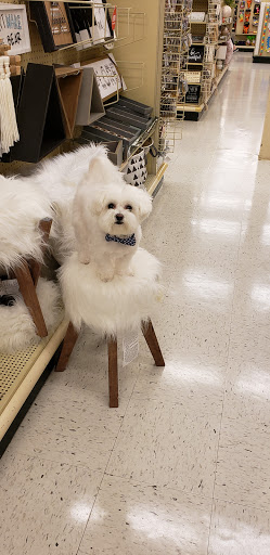 Craft Store «Hobby Lobby», reviews and photos, 1055 E Golf Rd, Schaumburg, IL 60173, USA