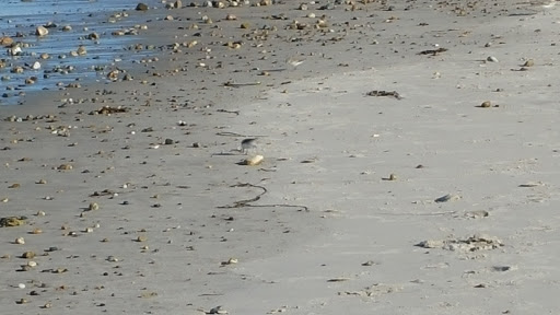 Golf Club «Green Harbor Golf Club», reviews and photos, 624 Webster St, Marshfield, MA 02050, USA