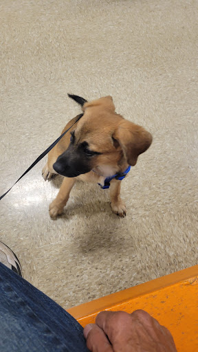 Pet Supply Store «PetSmart», reviews and photos, 89 Commercial Rd, Leominster, MA 01453, USA