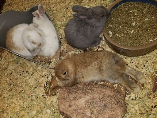 Pet Supply Store «Western Ranch & Pet Supply», reviews and photos, 103 Aegean Way, Vacaville, CA 95687, USA