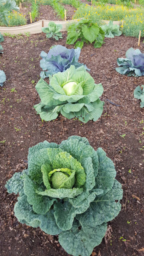 National Park «Fort Vancouver National Historic Site», reviews and photos, 612 E Reserve St, Vancouver, WA 98661, USA