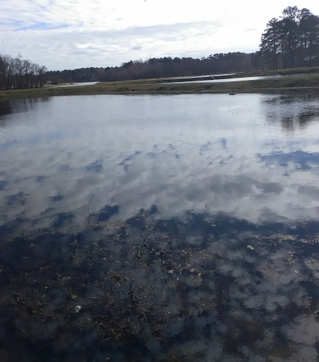 Public Golf Course «Lagoon Park Golf Course», reviews and photos, 2855 Lagoon Park Dr, Montgomery, AL 36109, USA