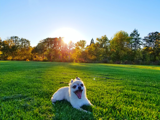 Dog Park «Hazeldale Park/ Dog park», reviews and photos, SW Farmington Rd, Aloha, OR 97007, USA