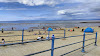 Dog Friendly Beach
