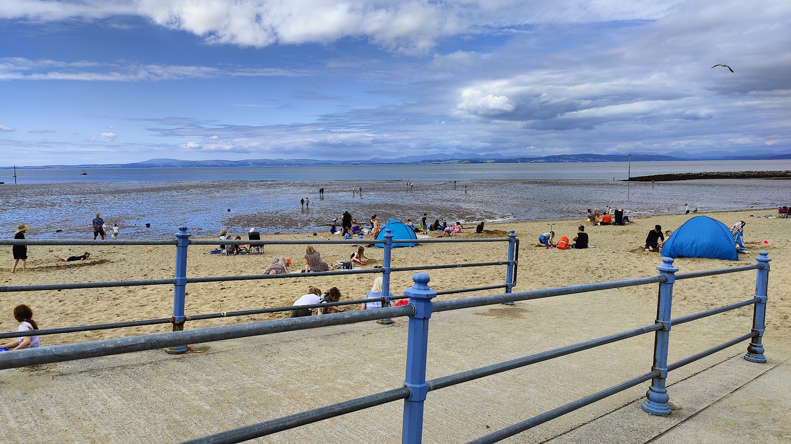 Photo de Dog Friendly Beach avec l'eau cristalline de surface