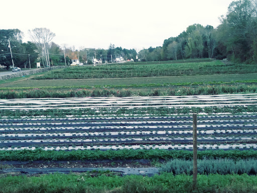 Farm «Langwater Farm», reviews and photos, 209 Washington St, North Easton, MA 02356, USA