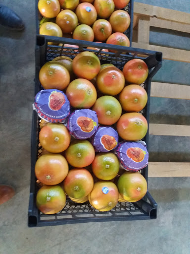 Orhan İş Makinaları Tamir Bakım