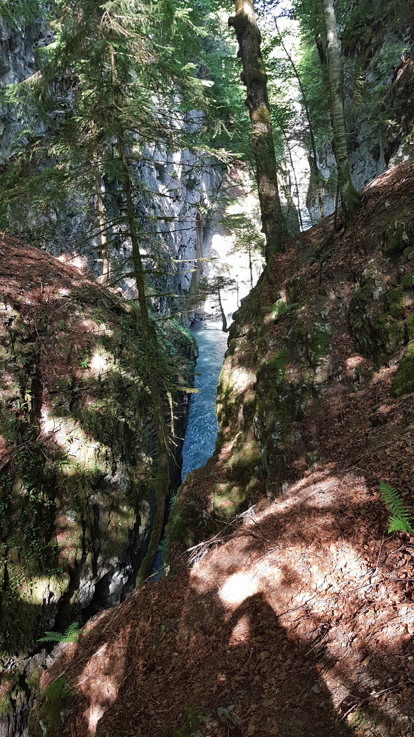 Photo n° 1 de l'avis de Gérard.o fait le 09/07/2018 à 15:23