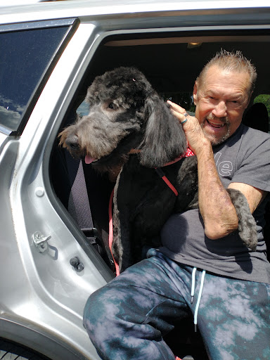 Pet Groomer «Doggy Styles Pet Salon», reviews and photos, 6310 Congress St, New Port Richey, FL 34653, USA