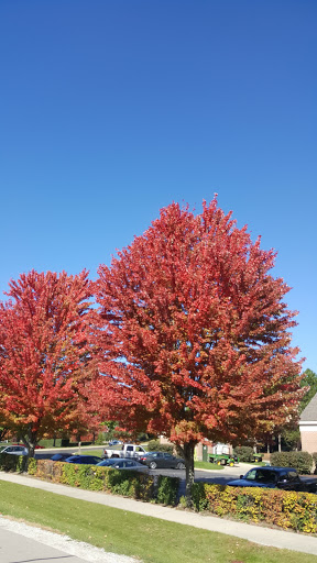 Country Club «Polo Fields Golf and Country Club», reviews and photos, 5200 Polo Fields Dr, Ann Arbor, MI 48103, USA